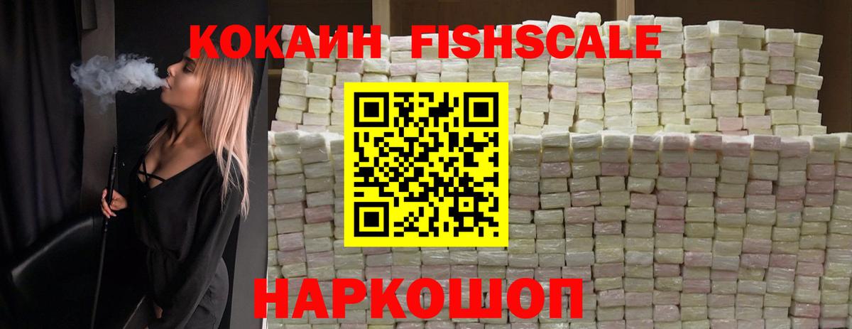 COCAIN  COCAIN Эквадор  Вход с VPN  Павлово  COCAIN Fish Scale 