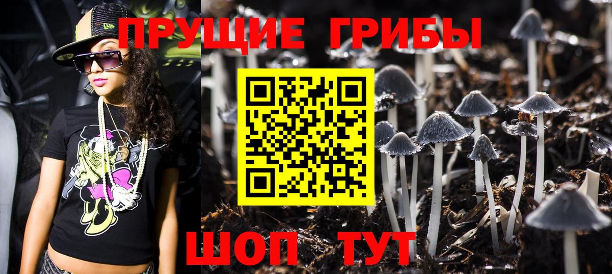 Псилоцибиновые грибы Psilocybine cubensis Павлово