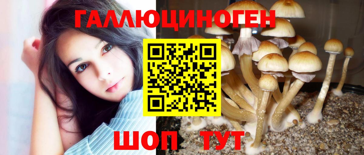 Галлюциногенные грибы мицелий  Псилоцибиновые грибы Magic Shrooms  Вход с VPN  Павлово 